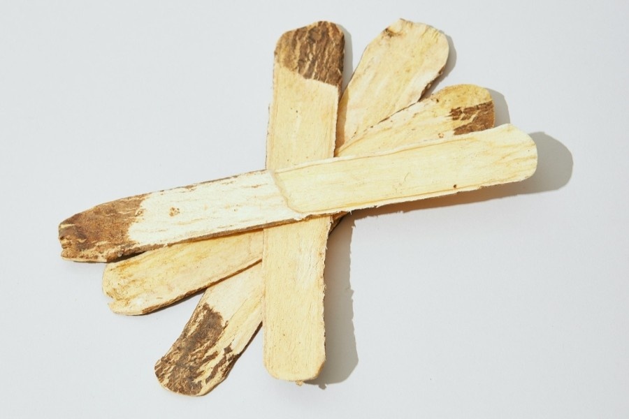 Dried astragalus stalks